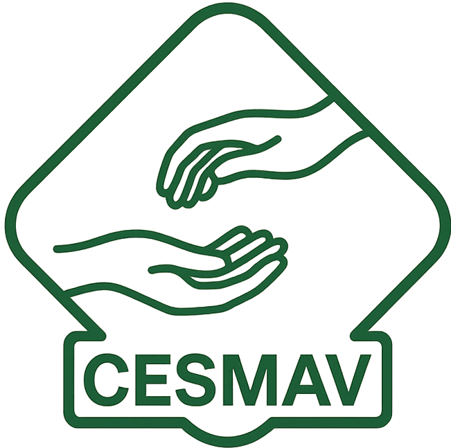 Logo Centro Social Madre Virginia